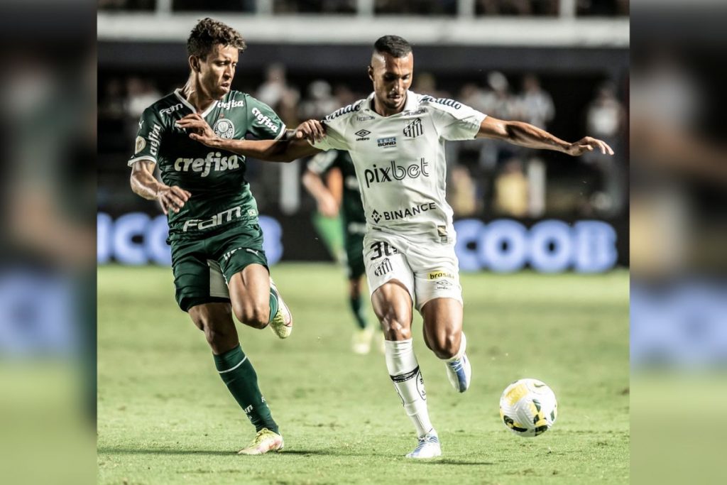 Brasileirão Santos x Palmeiras - Foto Ivan StortiSantos FC